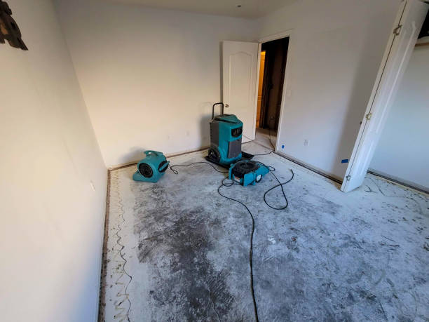 Best Flood damage cleanup  in New Braunfels, TX