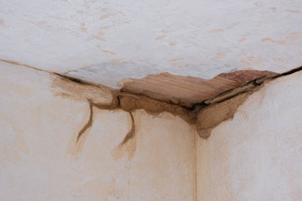  New Braunfels, TX Water damage restoration Pros
