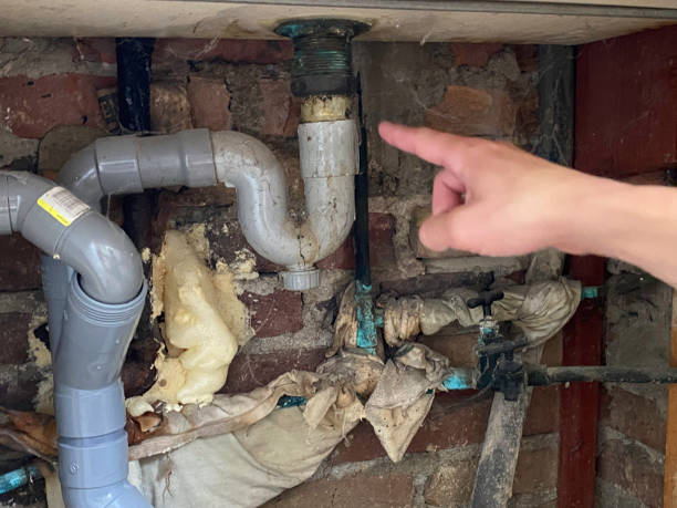 Best Water damage cleanup near me  in New Braunfels, TX
